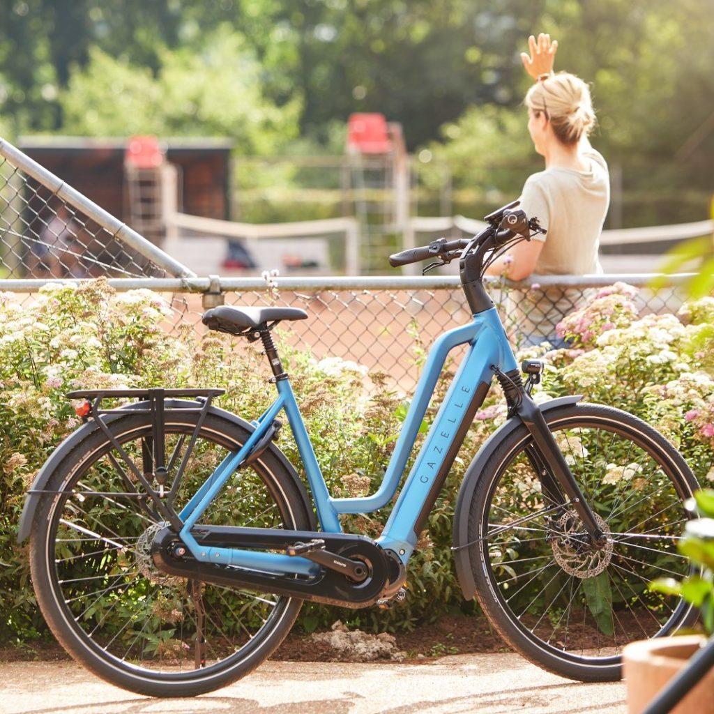 11 Best eBike Brands 6 Best eBike Brands