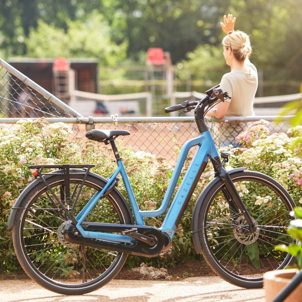 Best eBike Brands 