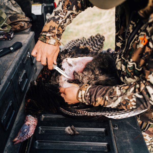 Buck Knives Review Must Read This Before Buying