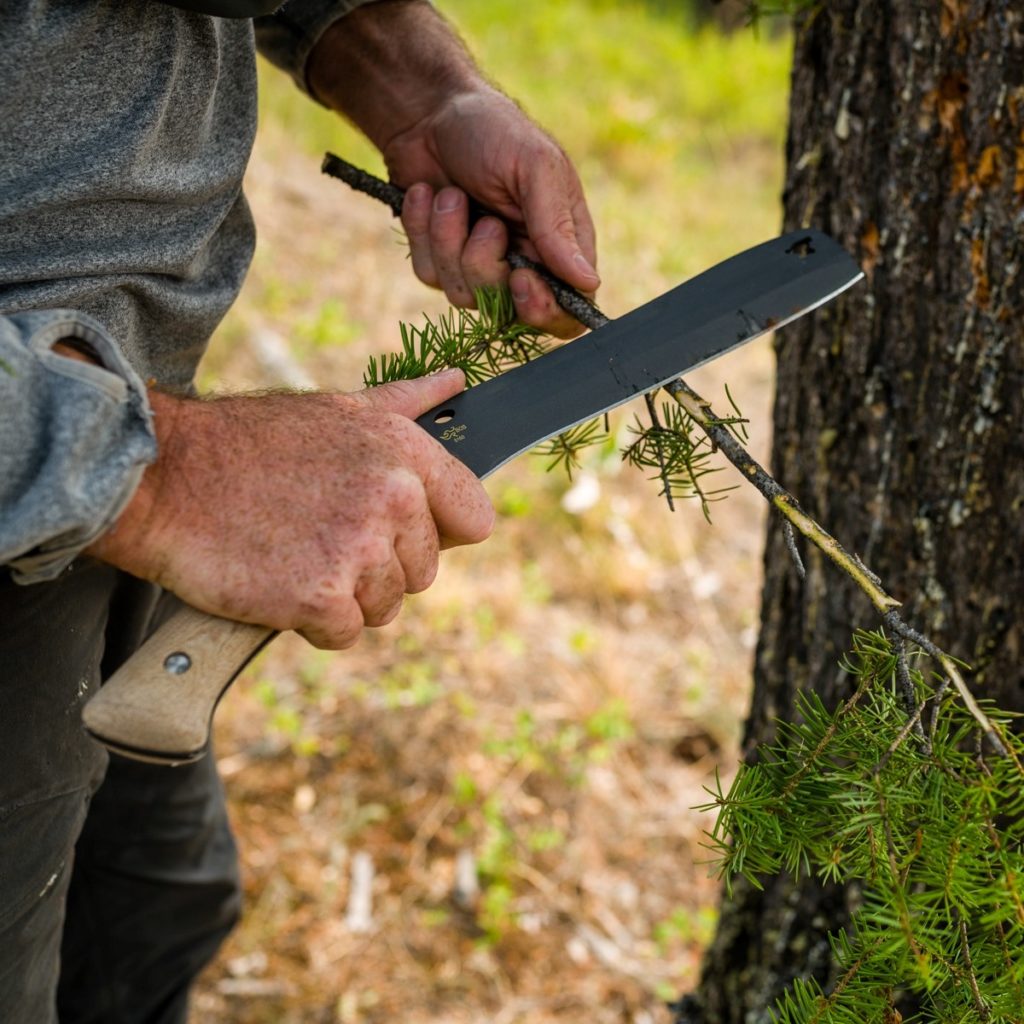 Buck Knives Review