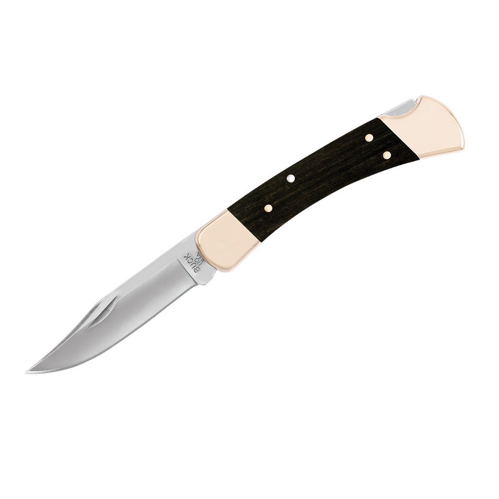 Buck 110 Folding Hunter Knife Review