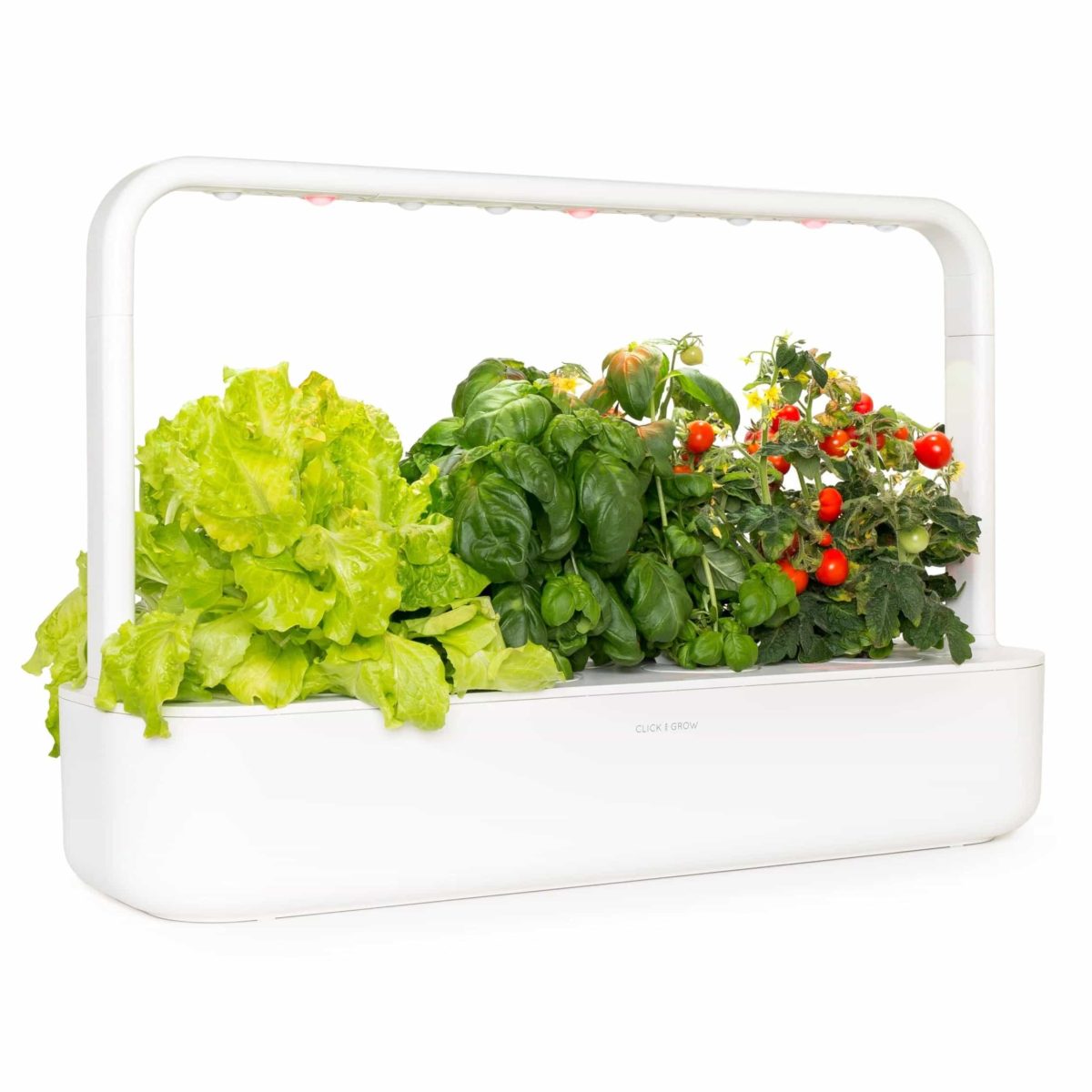 Click and Grow Review Must Read This Before Buying