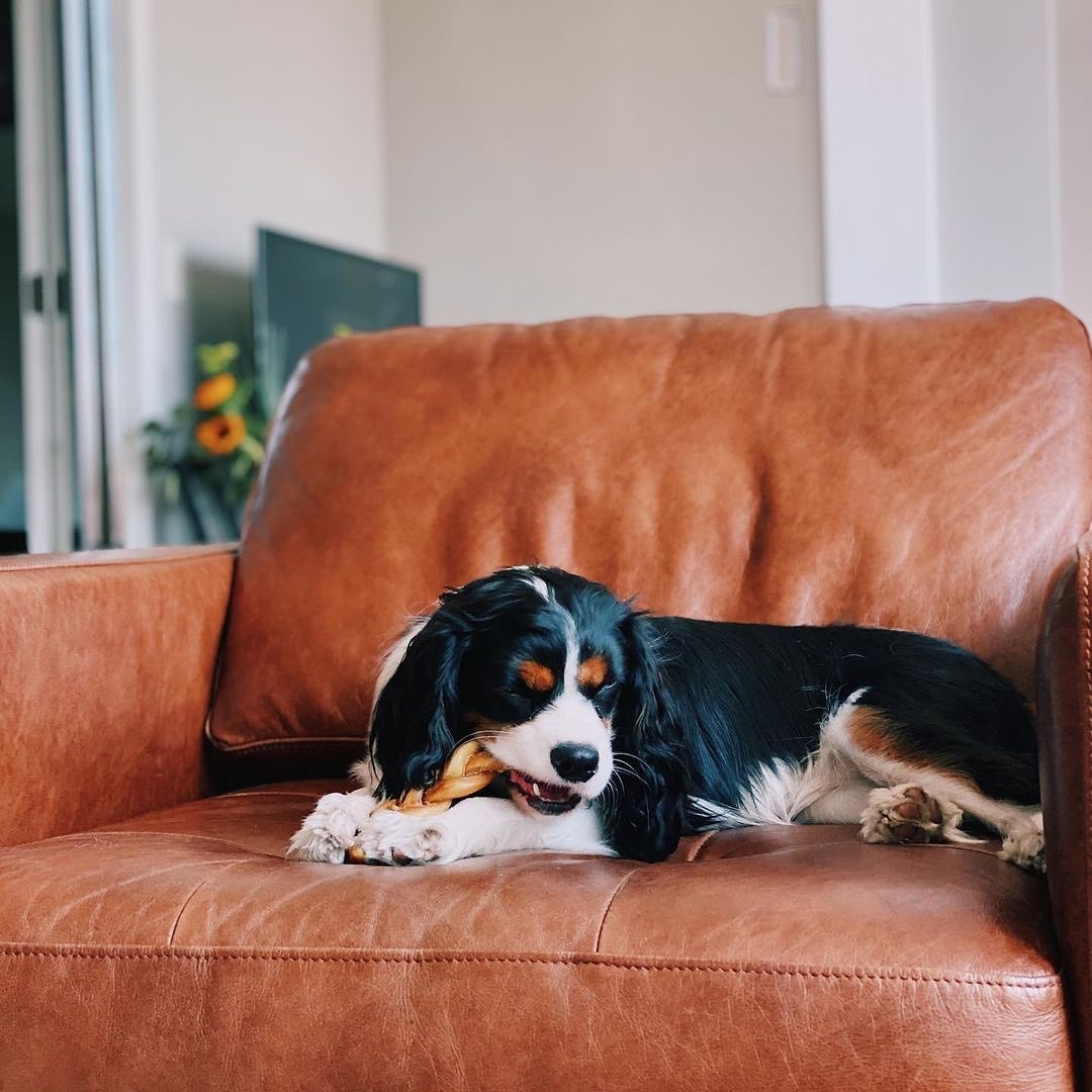 Feather Furniture Review Must Read This Before Buying