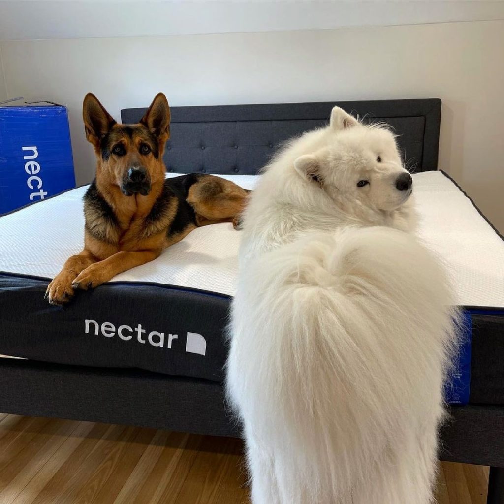 Nectar Mattress Review