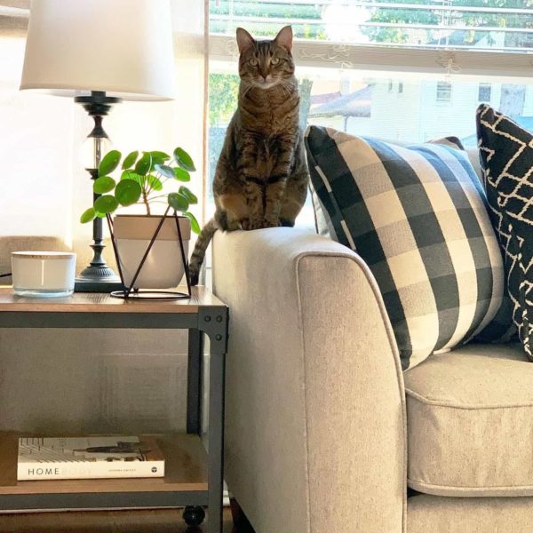 Raymour and Flanigan Review Must Read This Before Buying