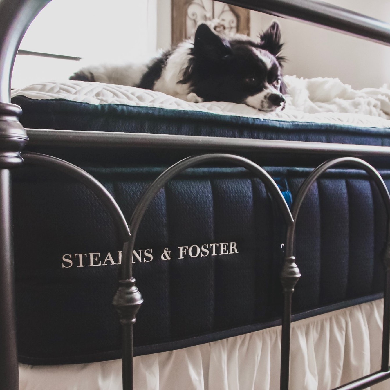 Stearns and Foster Review Must Read This Before Buying