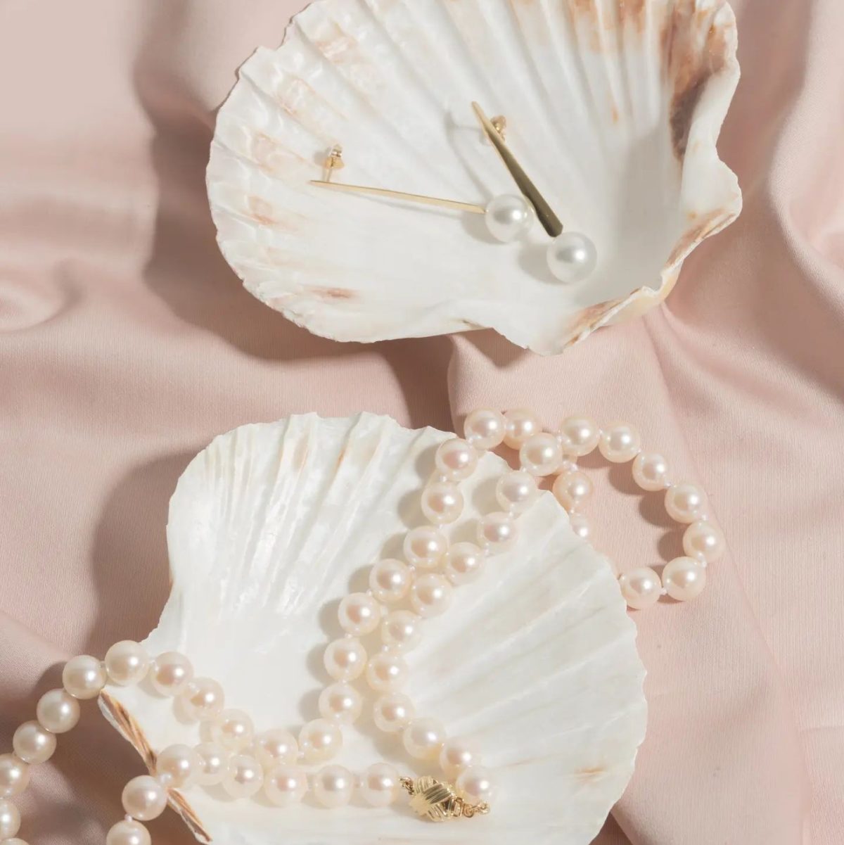 The Pearl Source Review Must Read This Before Buying