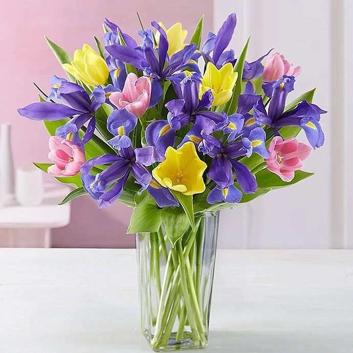 1800Flowers Fanciful Spring Tulip & Iris Bouquet Review