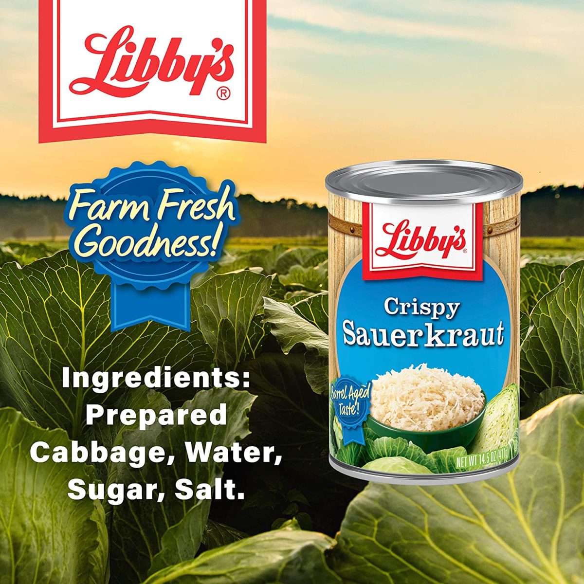 20 Best Sauerkraut Must Read This Before Buying