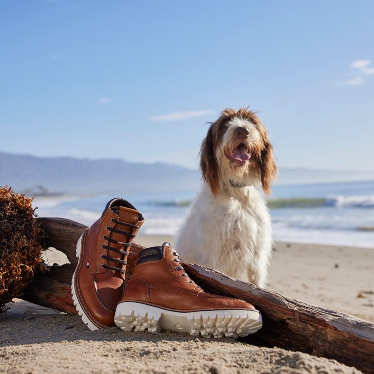 Allen Edmonds Review Must Read This Before Buying