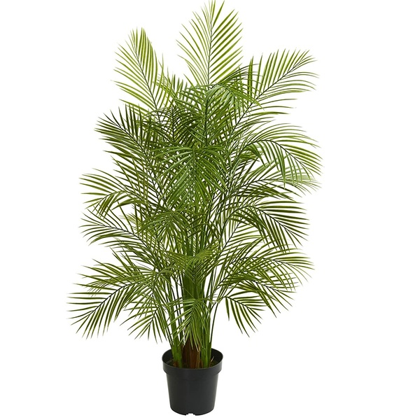 5.5’ Areca Palm by Nearly Natural
