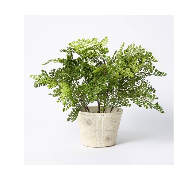 18” x 15” Artificial Fern Plant by Studio McGee x Target