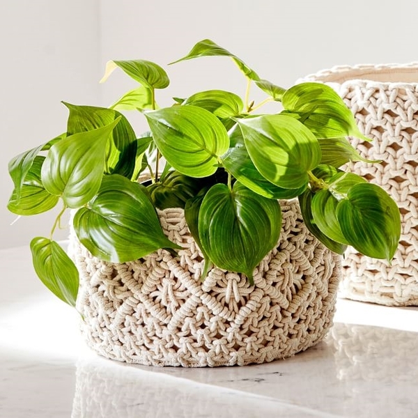 Faux Potted Pothos by Pottery Barn