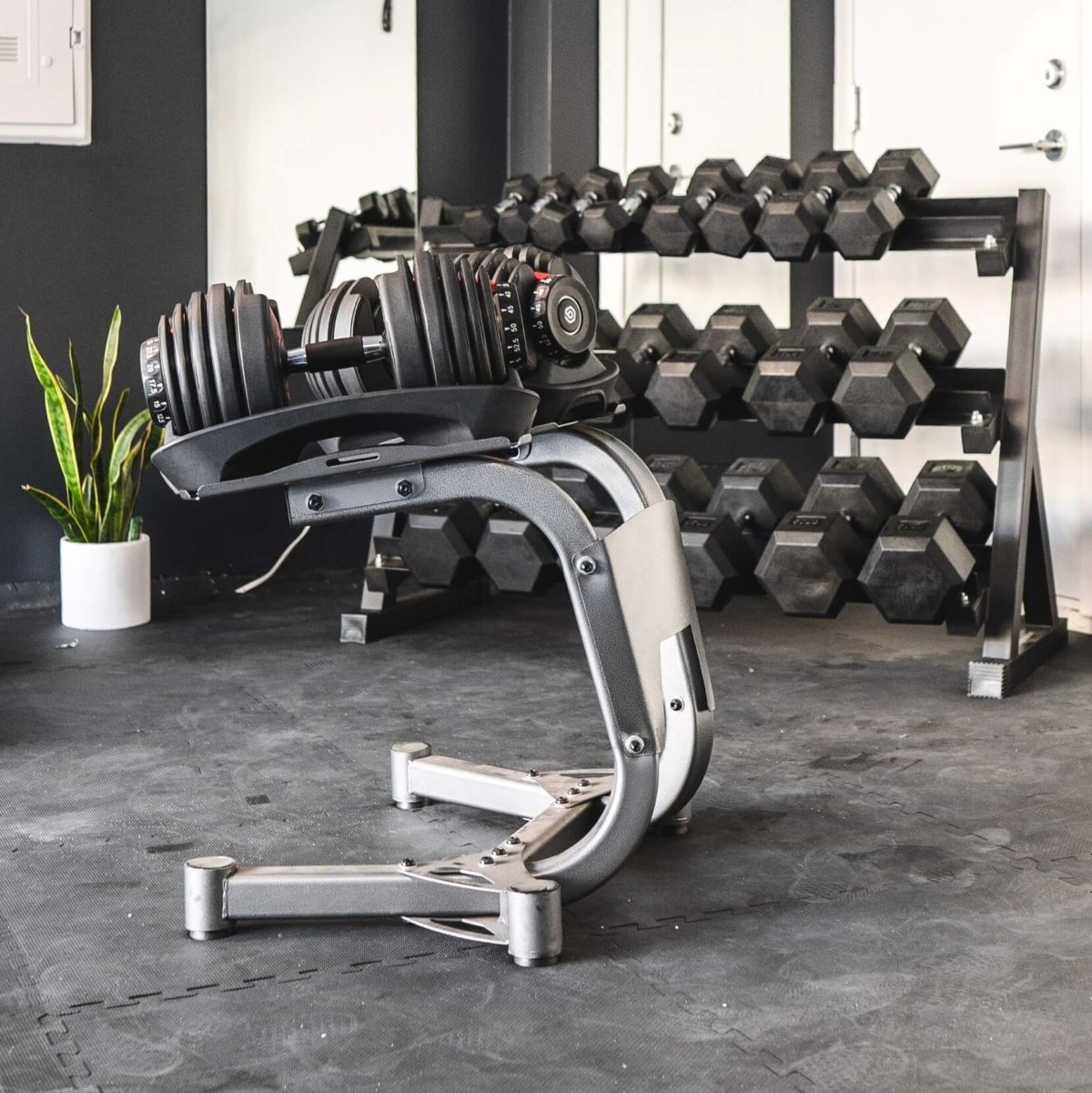 Better Body Equipment Review Must Read This Before Buying