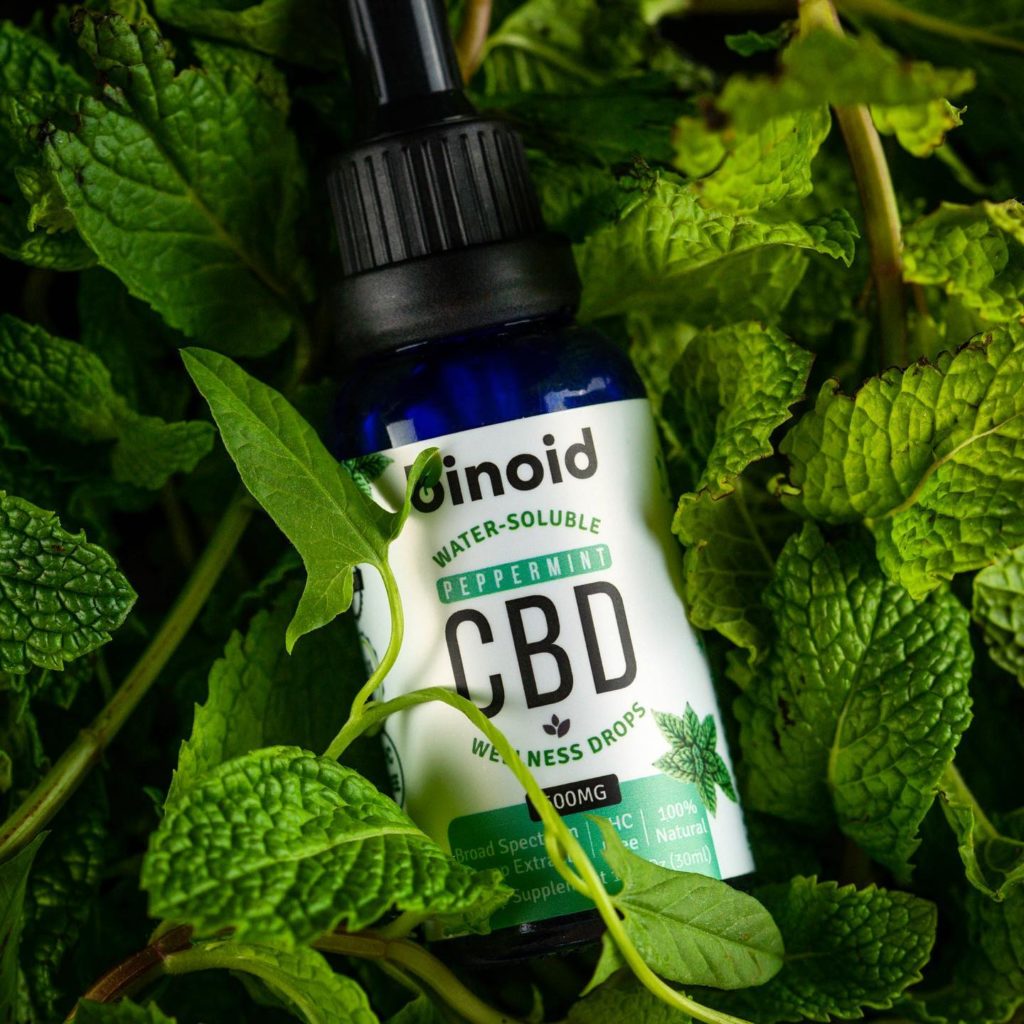 Binoid CBD Review