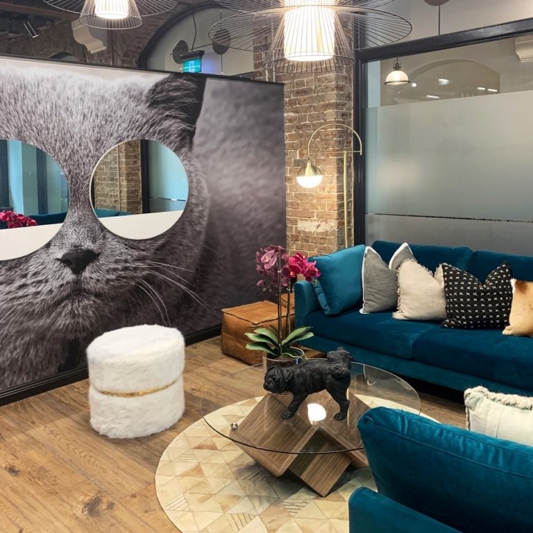 Castlery Furniture Review Must Read This Before Buying