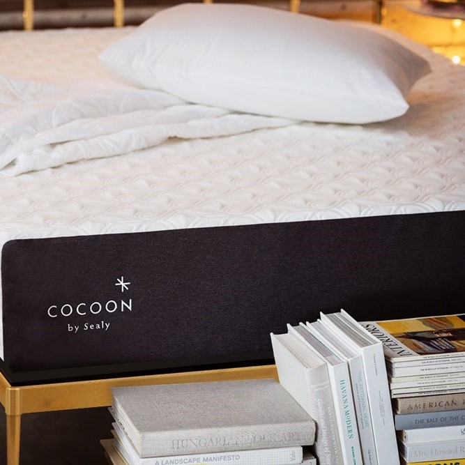 Cocoon by Sealy Review