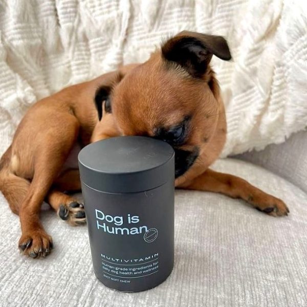 Dog Is Human Reviews Complaints Consumer Reports