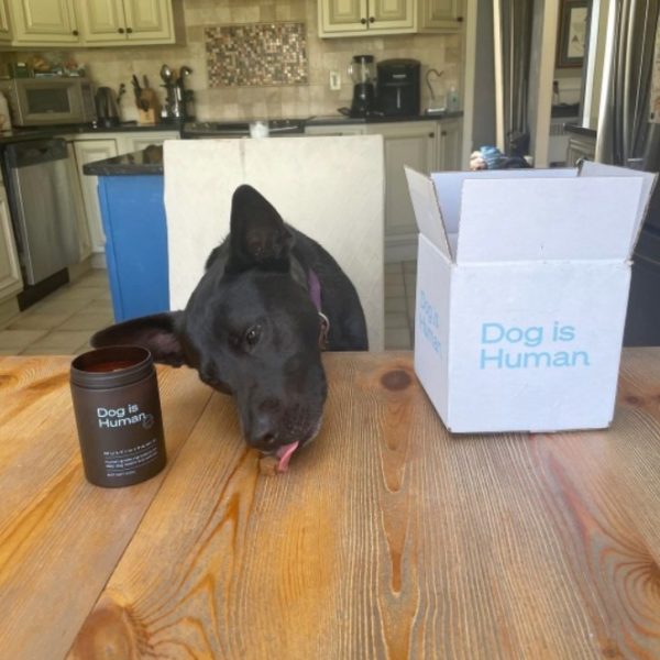 Dog Is Human Reviews Complaints Consumer Reports Dog is Human Review - Must Read This Before Buying