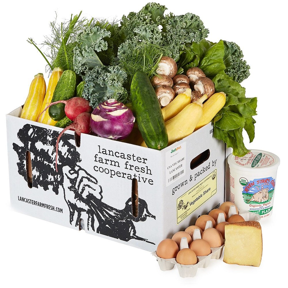 FreshDirect Local Vegetables Farm Share Review