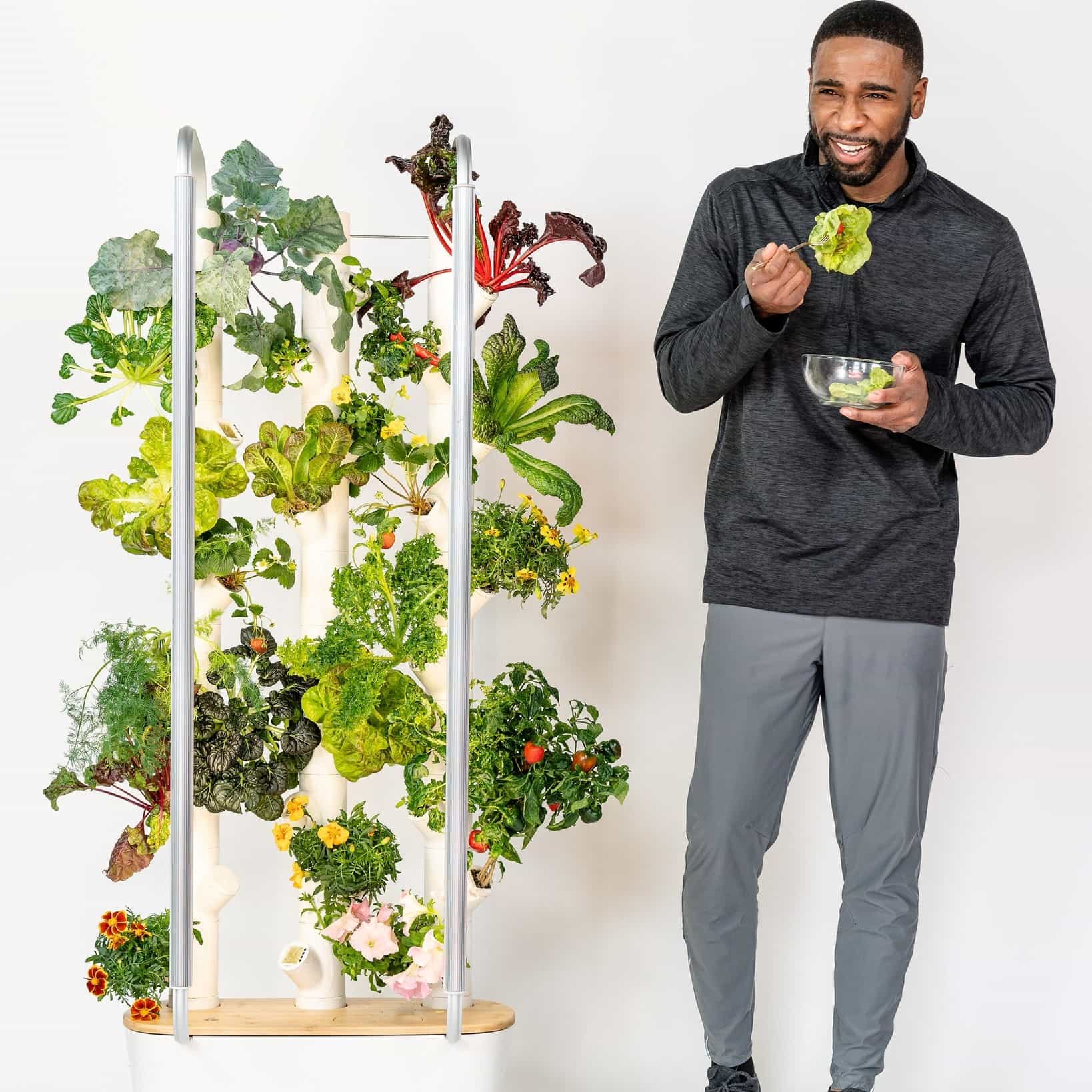 Gardyn Review Must Read This Before Buying