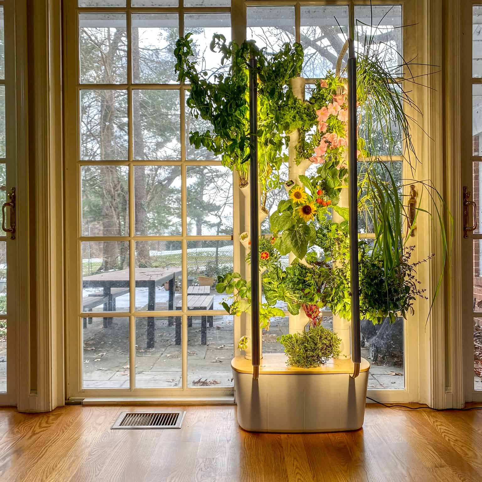 Gardyn Review Must Read This Before Buying