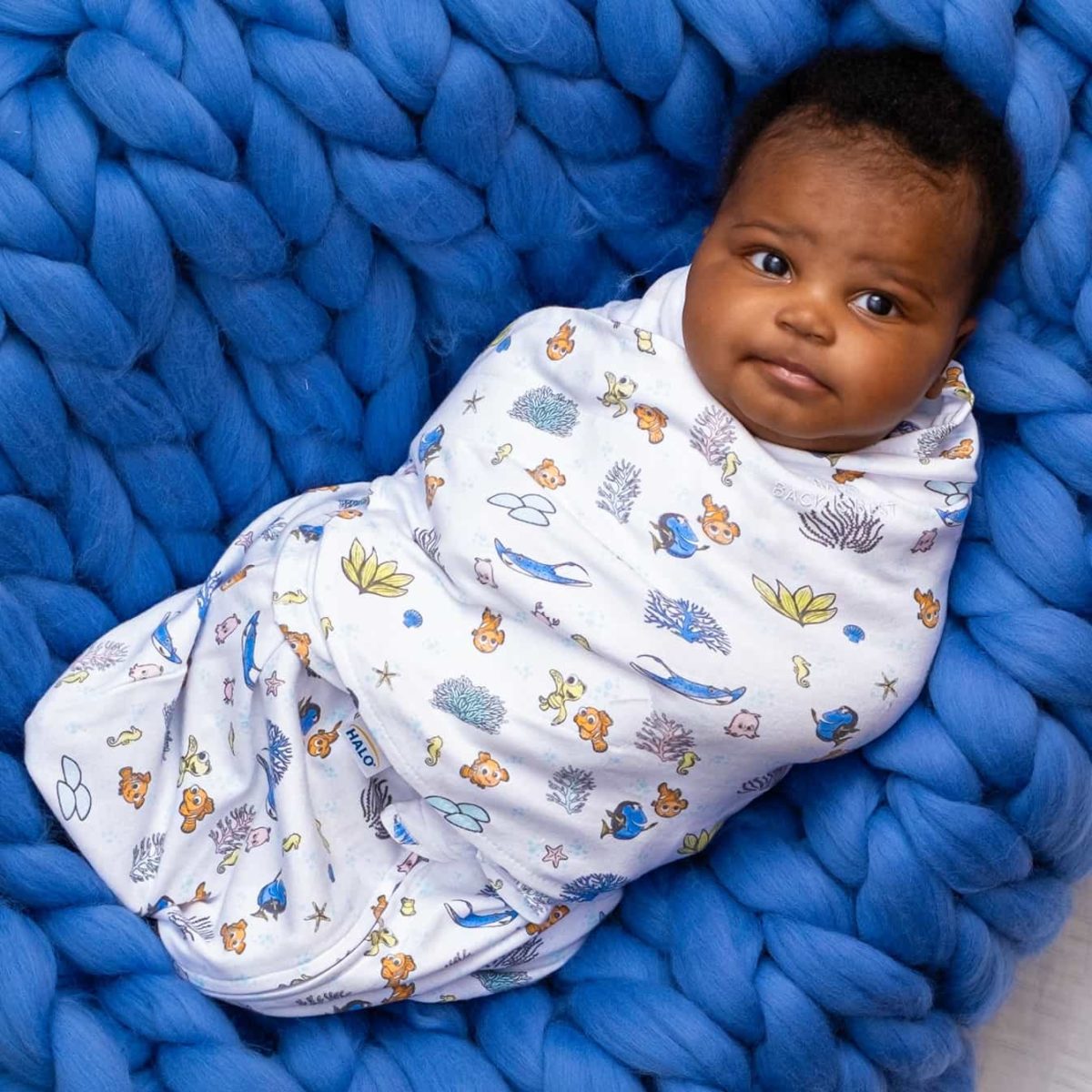 Halo BassiNest Review Must Read This Before Buying