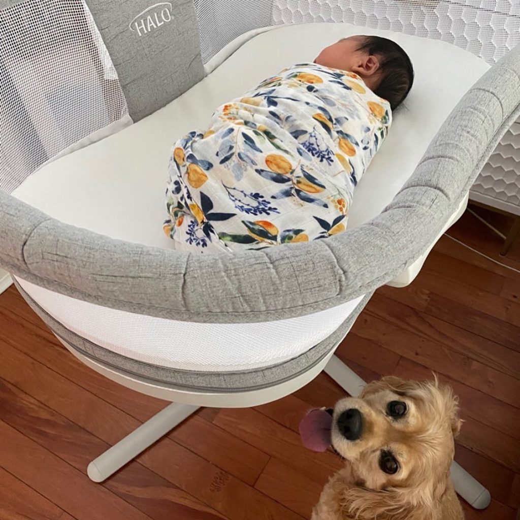 Halo BassiNest Review