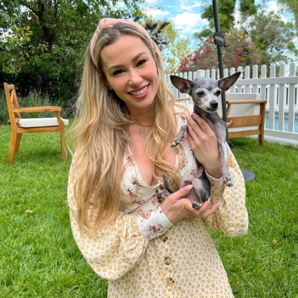 Halo Collar Review Must Read This Before Buying