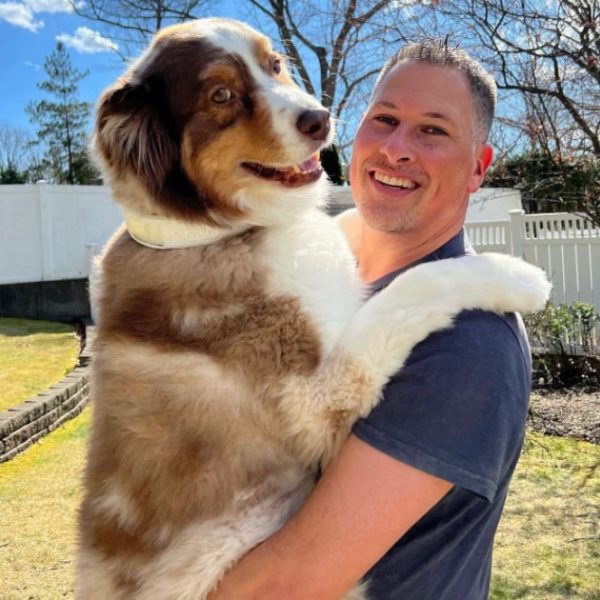 Halo Collar Review Must Read This Before Buying