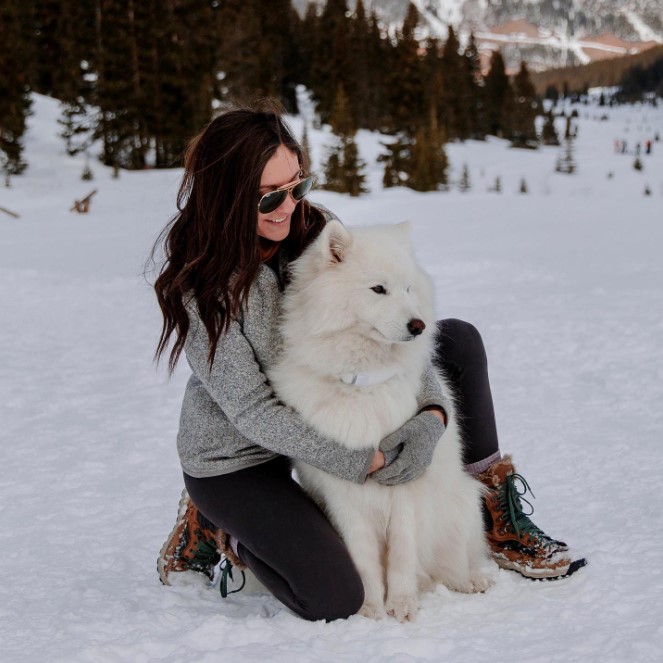 Halo Collar Review Must Read This Before Buying