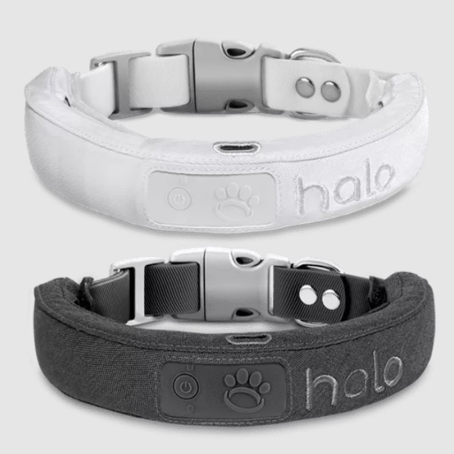 Halo Dog Collar Review