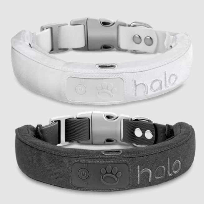 Halo Collar Review Must Read This Before Buying (2022)