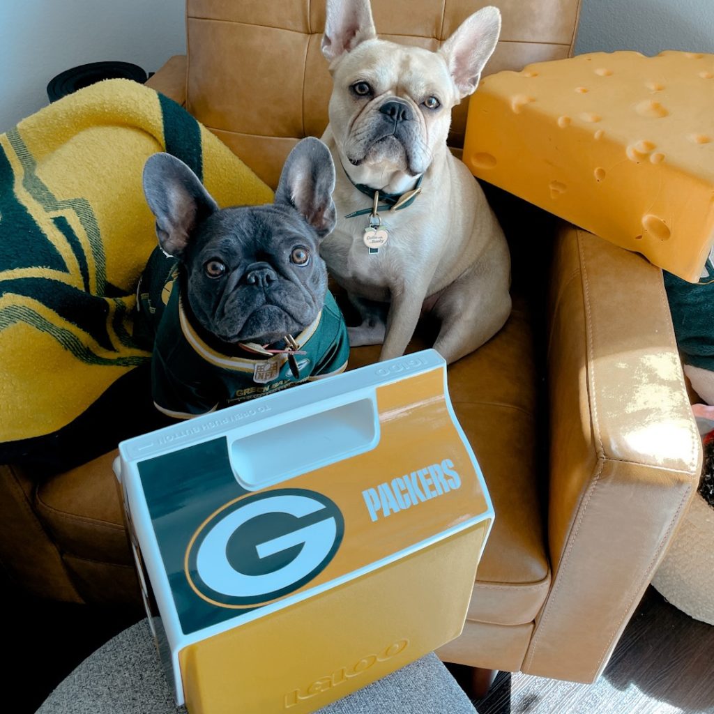 Igloo Coolers Review