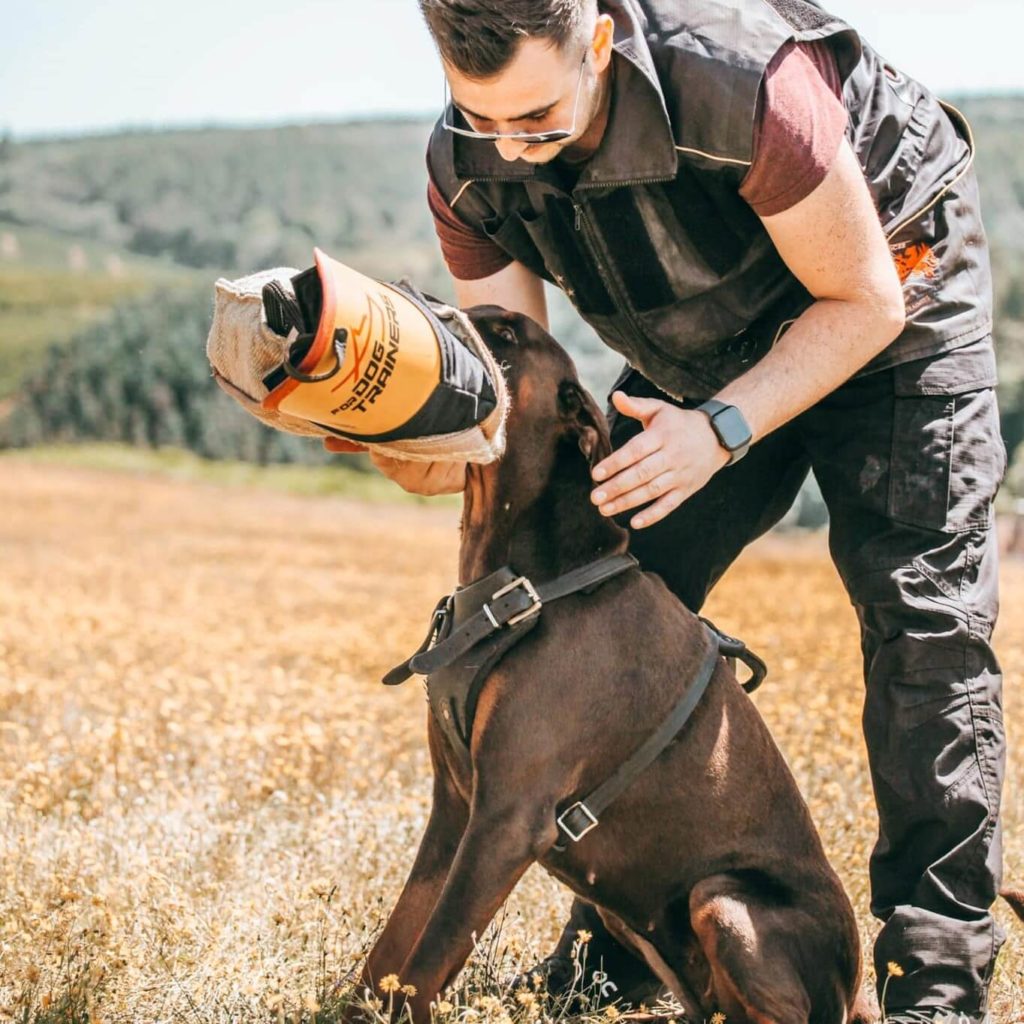 K9 Dog Training Review