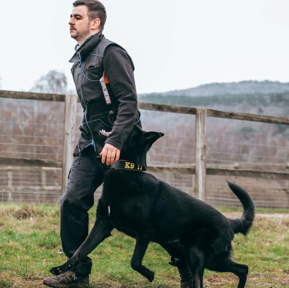 dog trainer certification