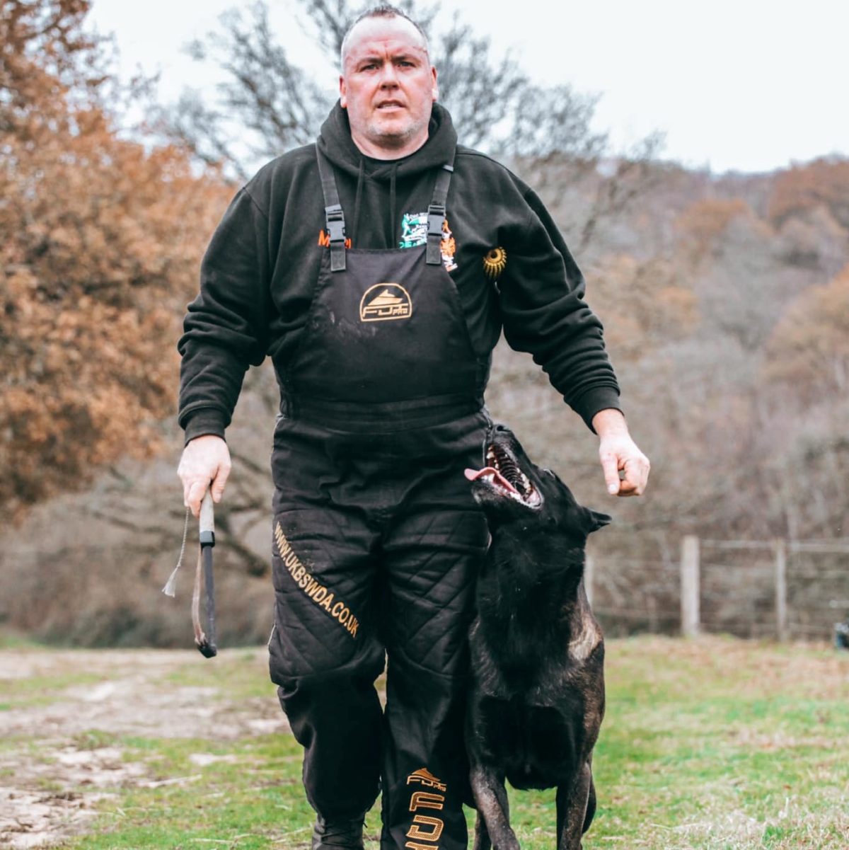 K9 Dog Training Review Must Read This Before Buying