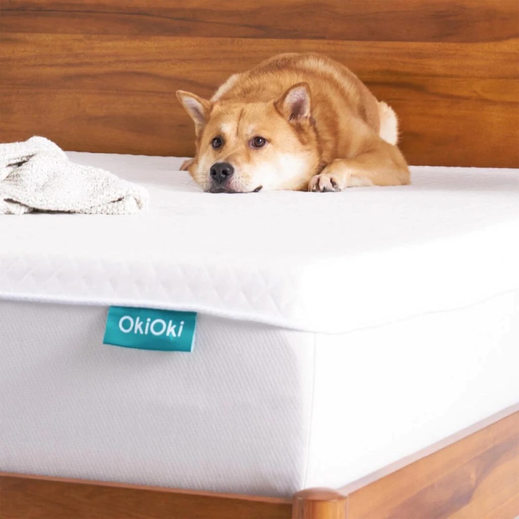 OkiOki Mattress OkiSoft Review