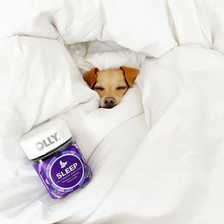 Olly Sleep Gummies Review Must Read This Before Buying