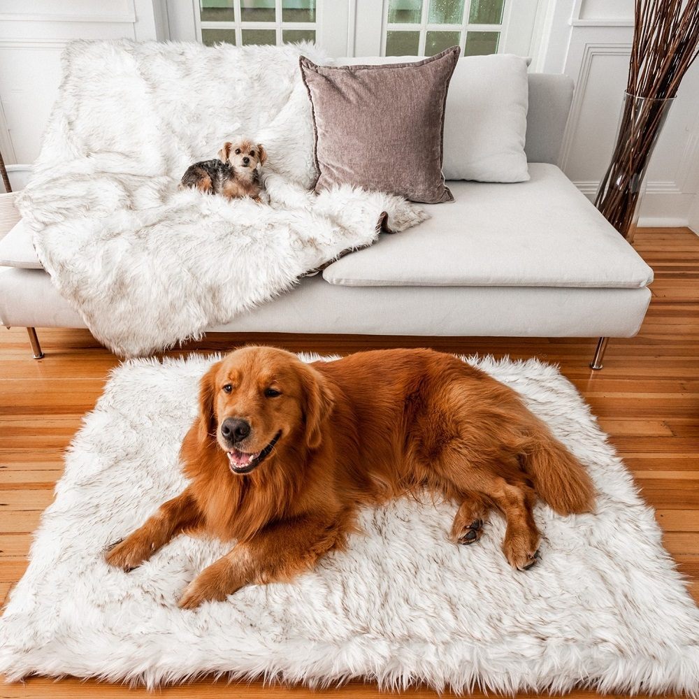 Paw Dog Bed Review