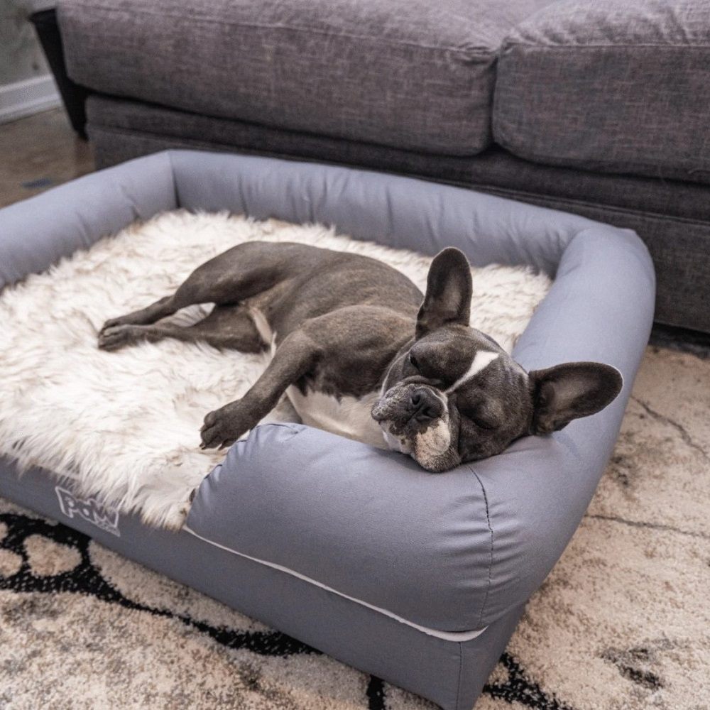 Paw  PupLounge Memory Foam Bolster Dog Bed & Topper Review