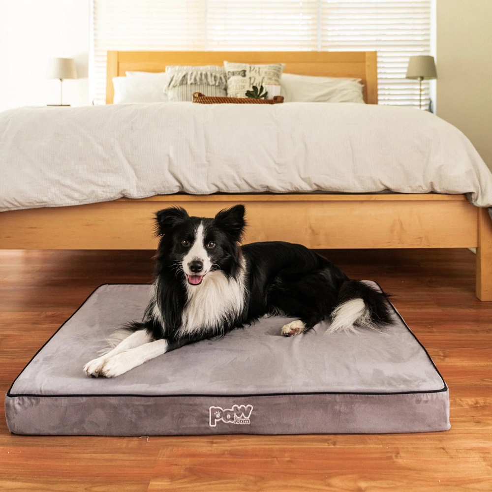 Paw PupDream Memory Foam Orthopedic Dog Bed Review