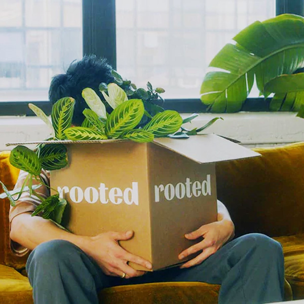 Rooted Review