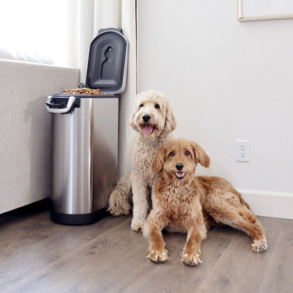 SimpleHuman Review Must Read This Before Buying