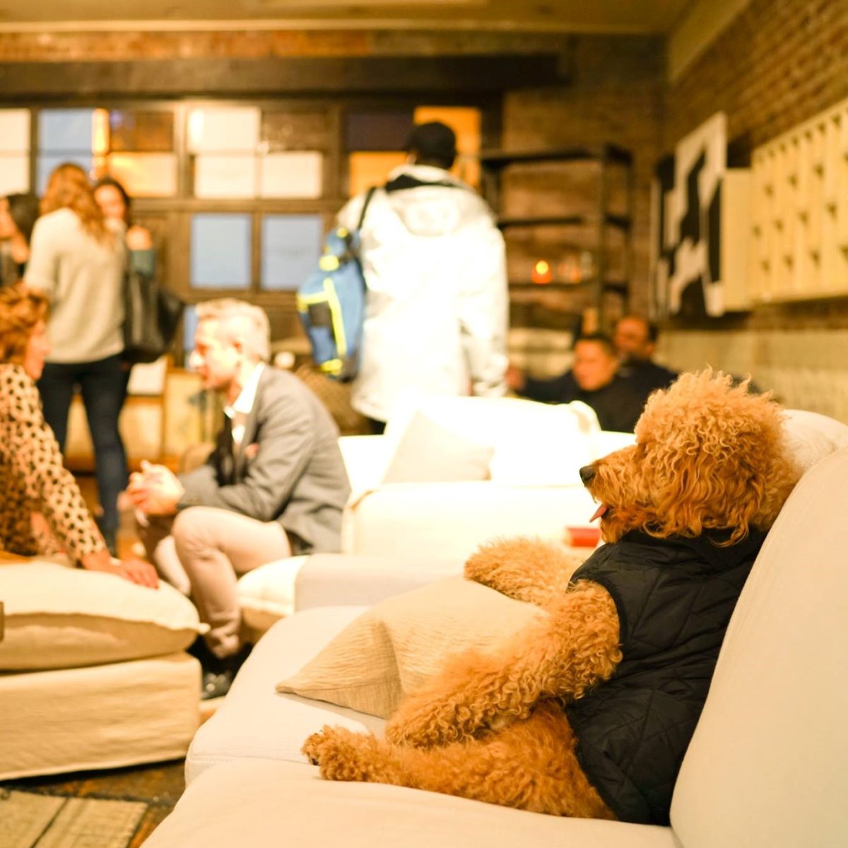 Sixpenny Review Must Read This Before Buying