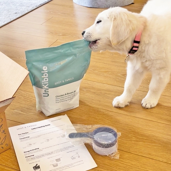 Spot and Tango Dog Food Review Must Read This Before Buying
