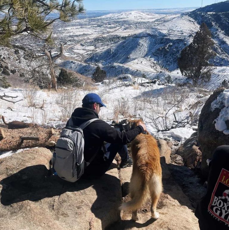 Trusted House Sitters Review Must Read This Before Buying