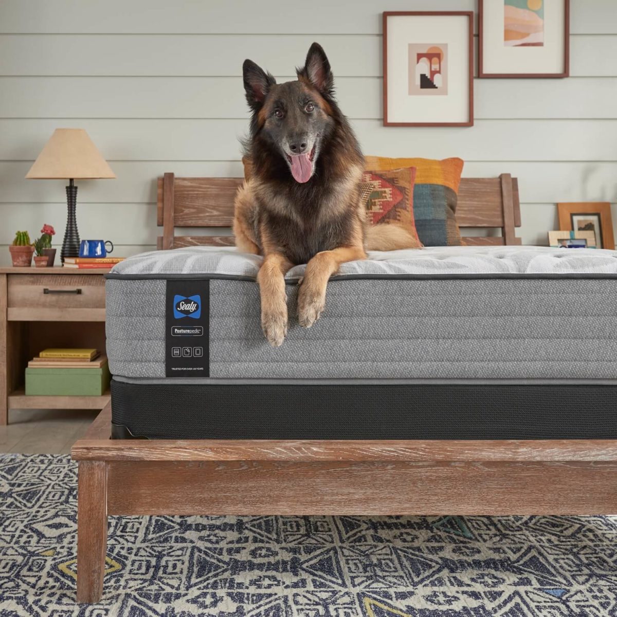 US Mattress Review Must Read This Before Buying