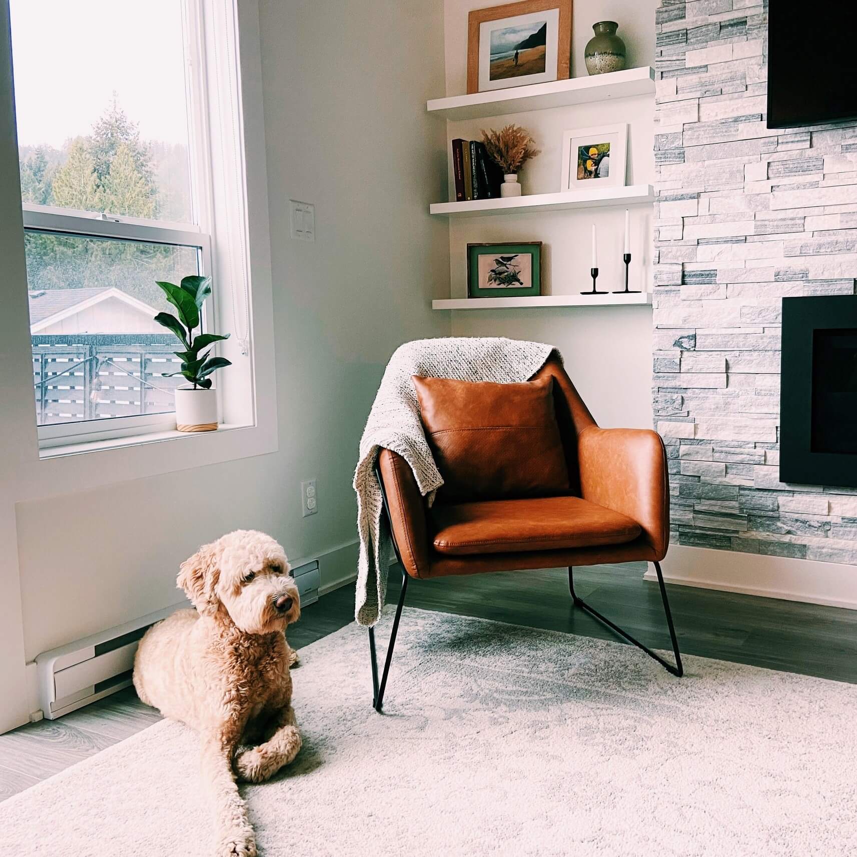 Wazo Furniture Review Must Read This Before Buying