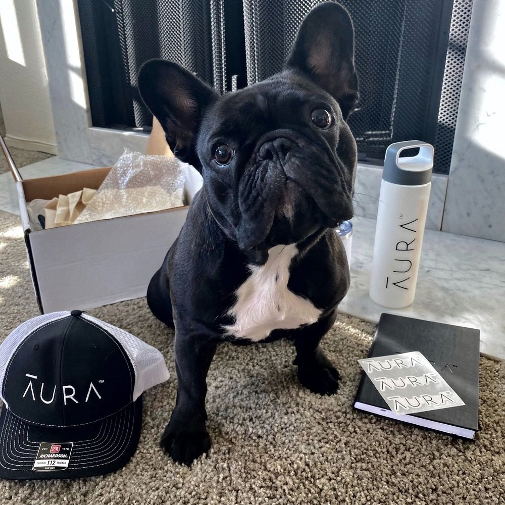 Aura Review